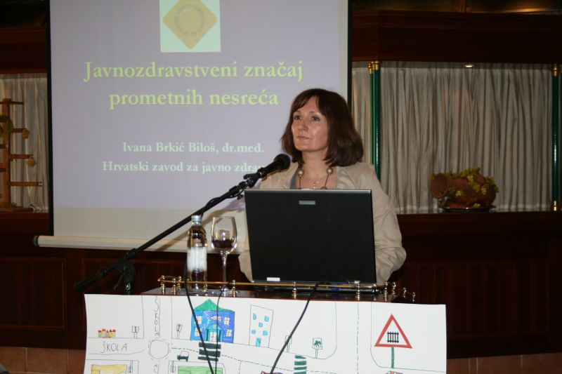 Ivana Brkić Biloš, Hrvatski zavod za javno zdravstvo