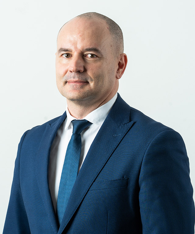 dr. sc. Igor Šiško